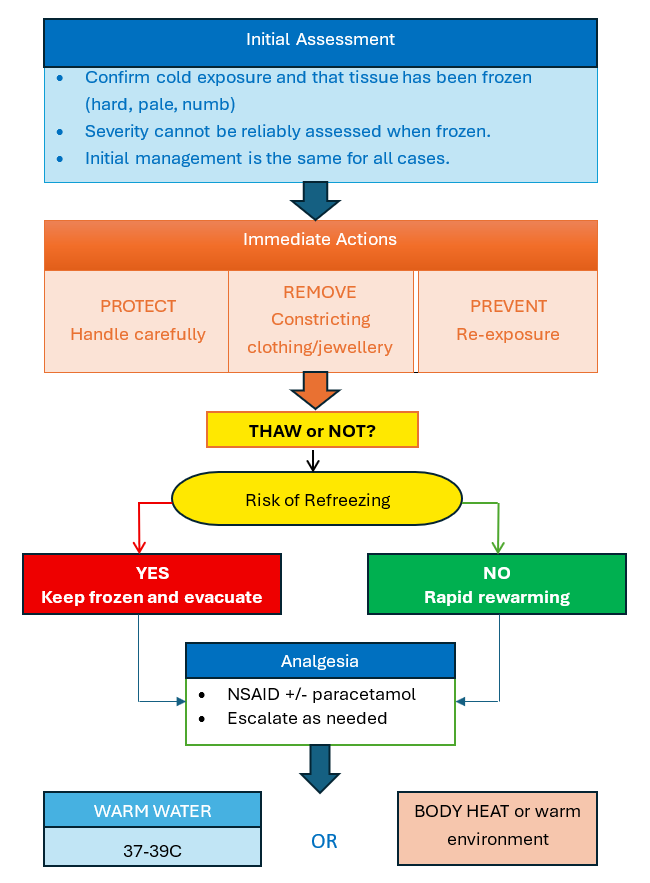 Pre-hospital Field Management-Initial-Assessment